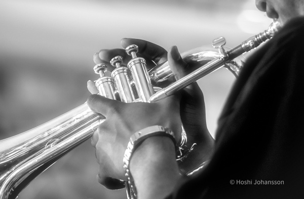 trumpet-hands-jazz