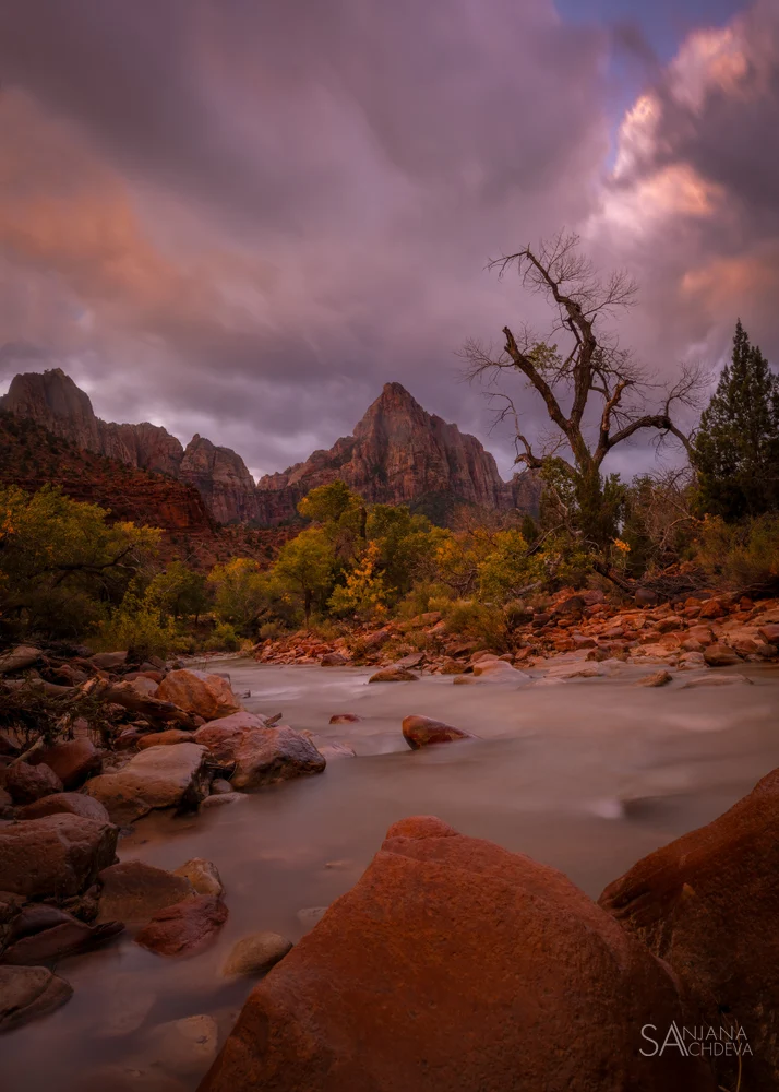 Zion Flow