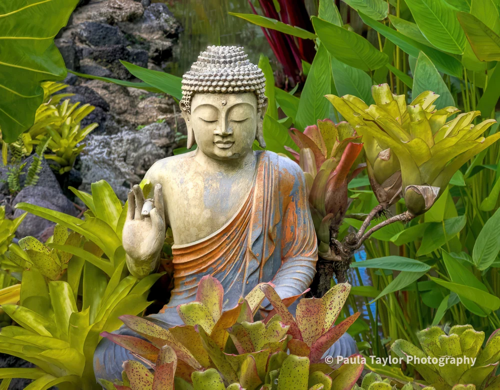 Serene Buddha Statue Surrounded by Lush Tropical Foliage in Bali