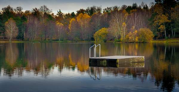 Lake at Fall by Daniel Guimberteau