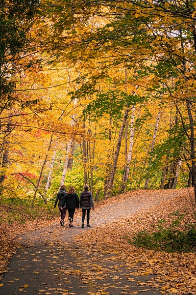 Walking through the Fall Leaves - Brad Balfour Photography 