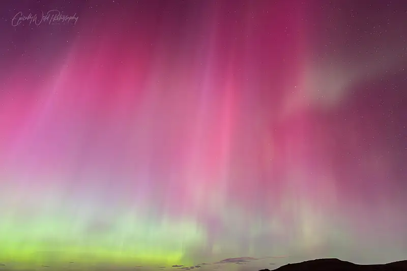 Vibrant Aurora Dance in Night Sky