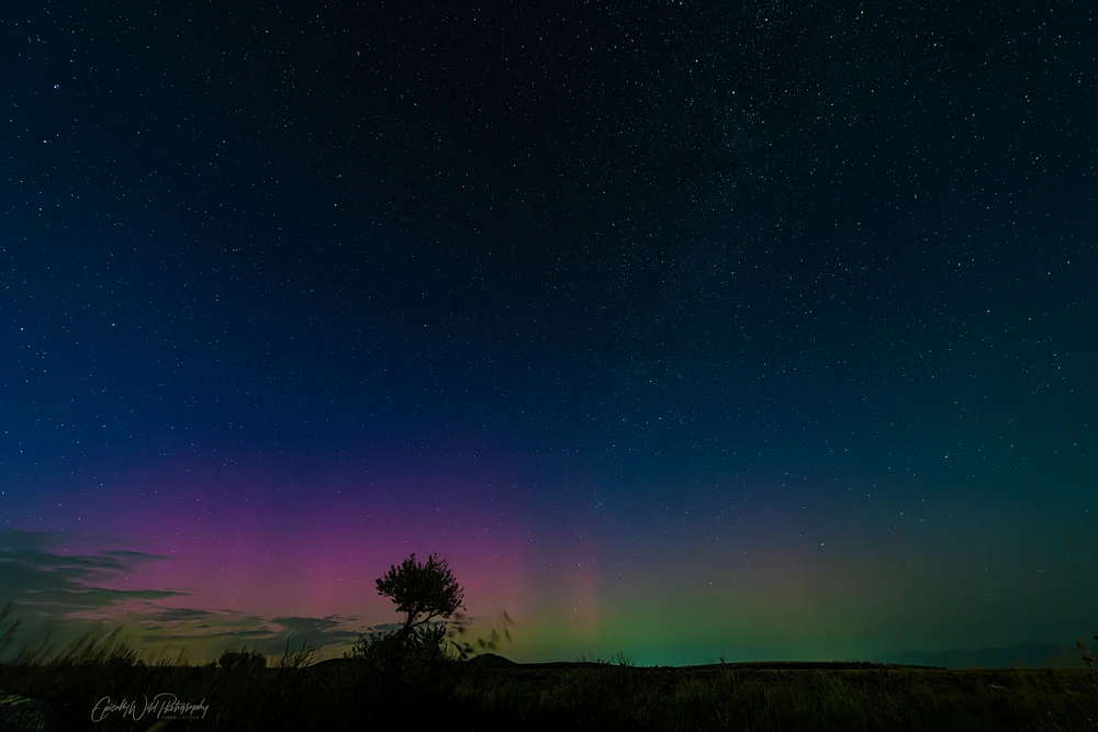 Auroral Splendor Over Serene Landscape