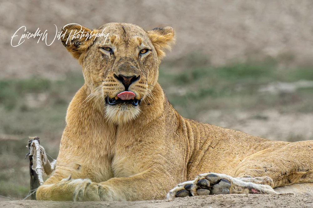 _DSC3592-1