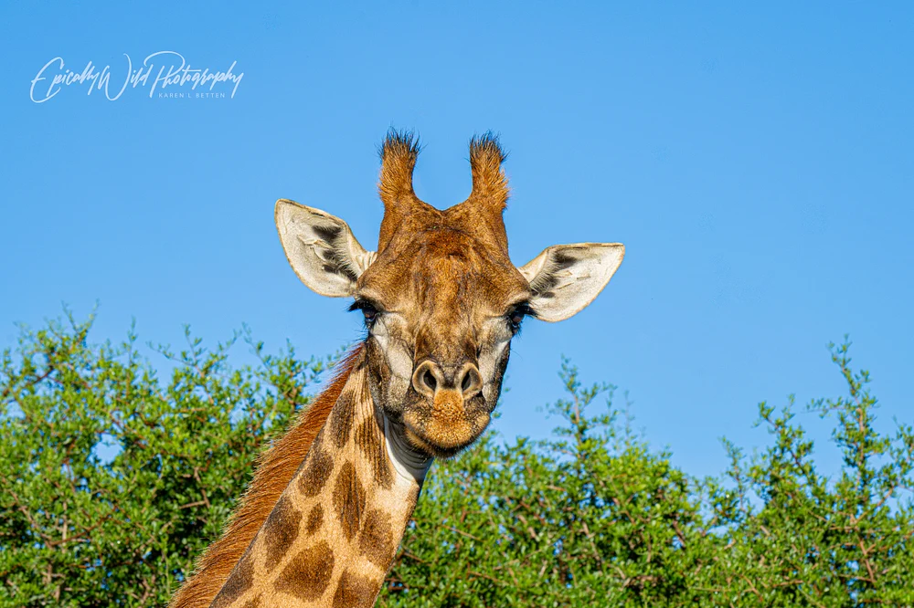 _DSC5113-1