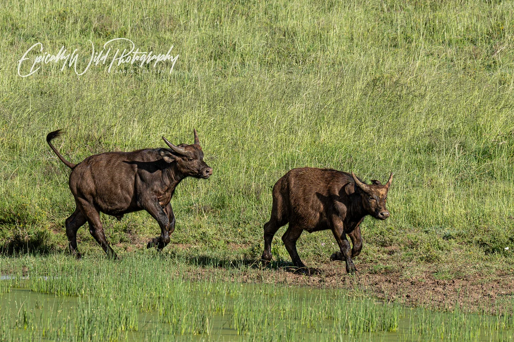 _DSC5716-1