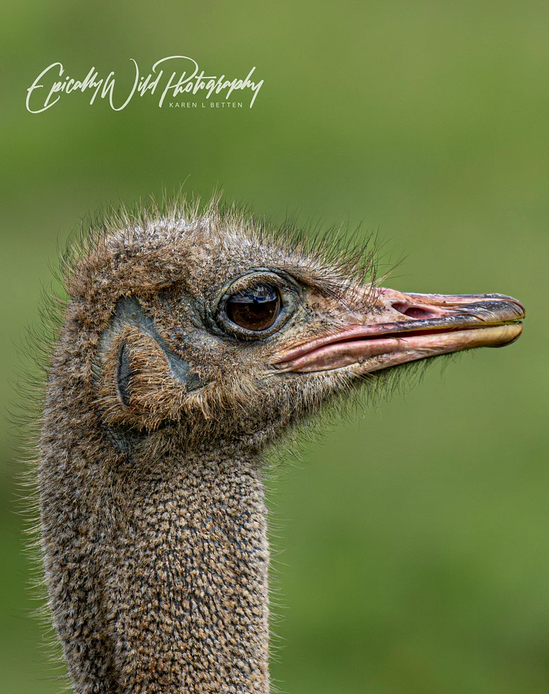 _DSC6234-1
