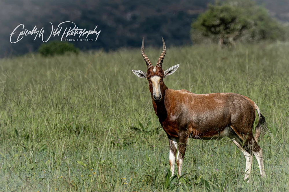 _DSC5898-1