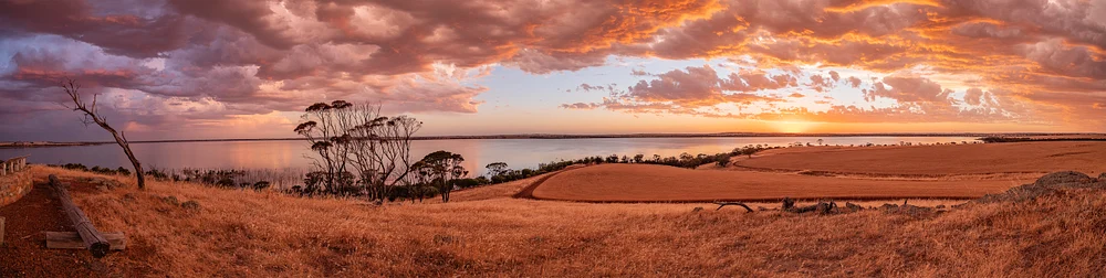 13_80x20 Lake Dumbleyung Summer $ 110