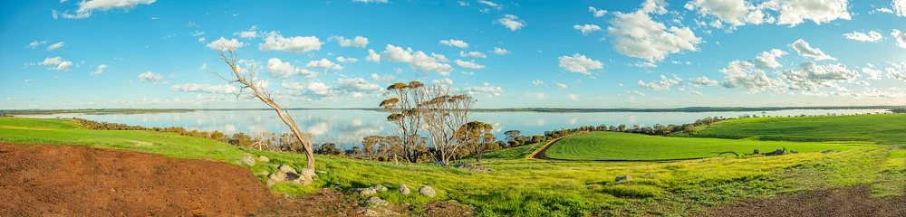 12_95x23 Lake Dumbleyung Winter  $120
