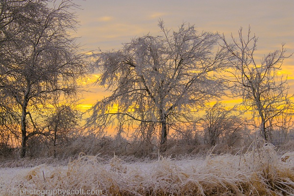 Winter Sunrise in Missouri - Golden Hours - PhotographyScott