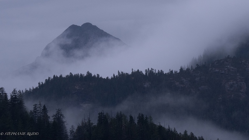 foggy mountain top