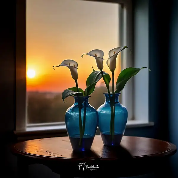 Easter Lilies in window at sunset by PhotoShacklett