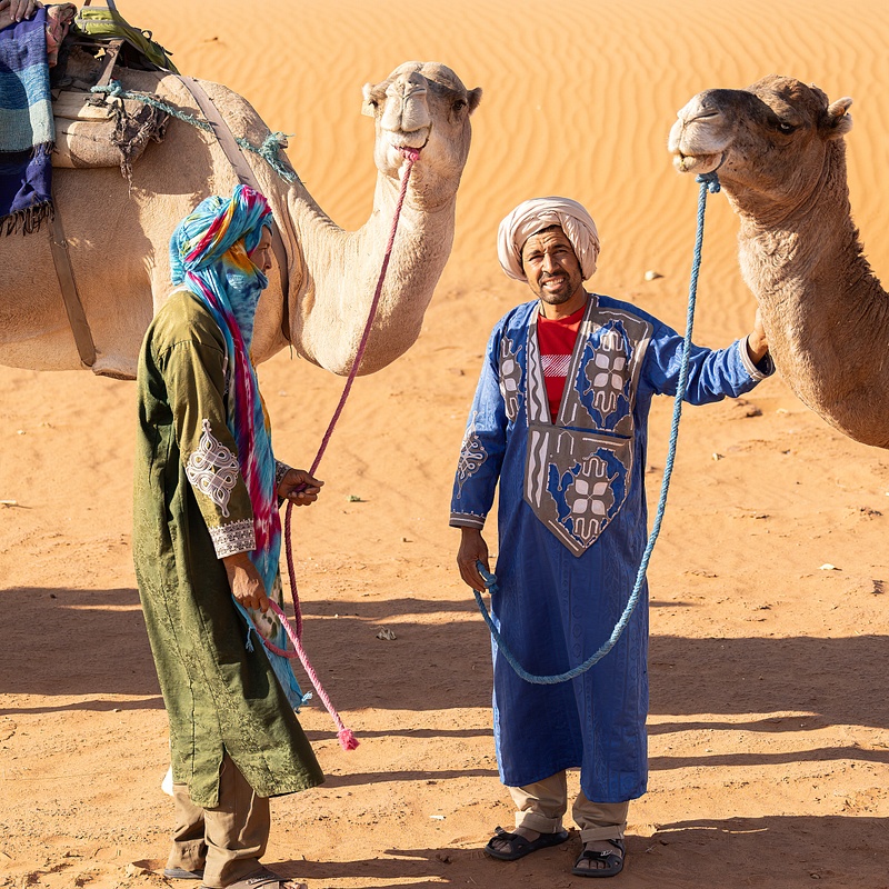 Camels and Guides