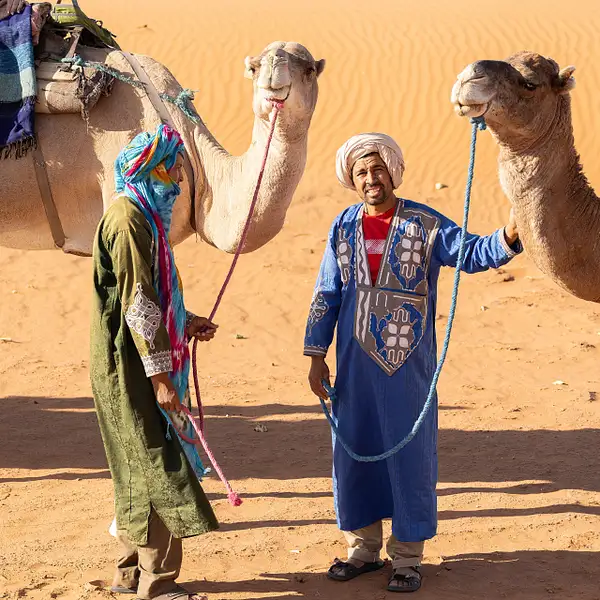 Camels and Guides by VickiStephens