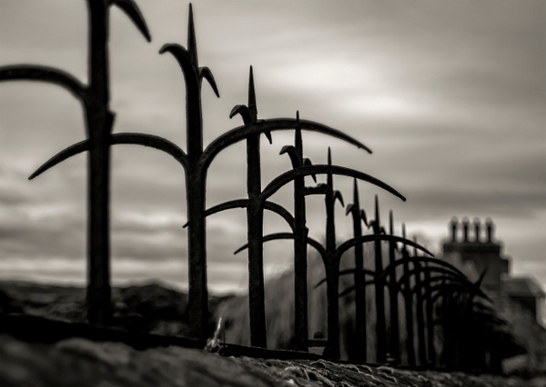 Spiked Wall - Fine Art Photography Gallery Of Monochrome / Black and White Subjects
