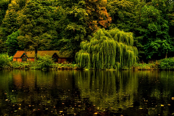 Weeping Willow Reflection - Fine Art Photography Gallery Of Durham City 