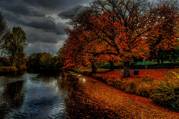 Autumnal Carlisle Park - Portfolio of miscellaneous fine art photography images of Northeast UK