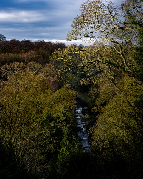 Jesmond Dene Landscape View - Fine Art Photography Gallery Of Northeast England Places