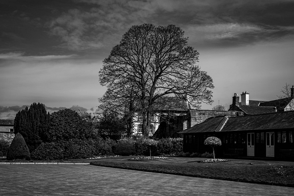 Hexham Park Bowling Green - Fine Art Photography Gallery Of Monochrome / Black and White Subjects 