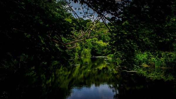 River Wansbeck Reflections - Fine Art Photography Gallery Of Northeast England Places
