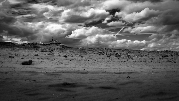 South Shields Sand And Gulls - Fine Art Photography Gallery Of Monochrome / Black and White Subjects