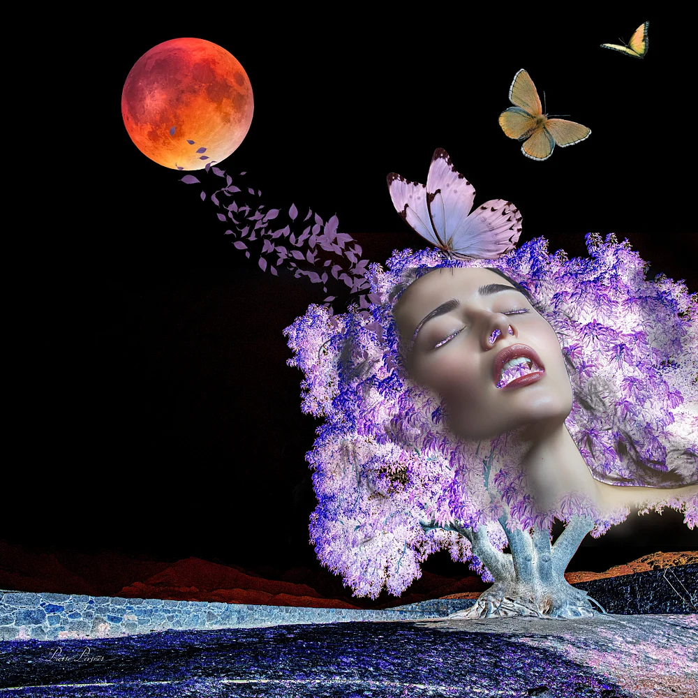 MOON FRAGRANCE