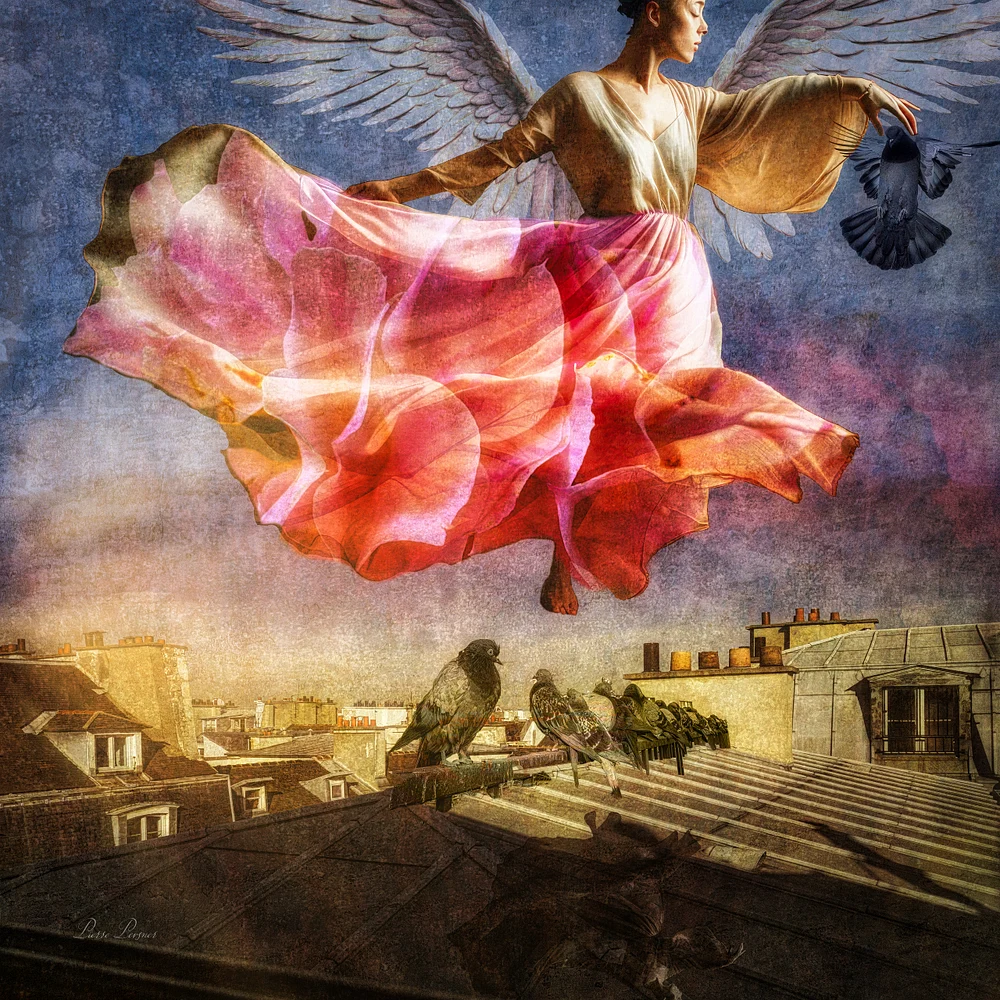 ANGEL TAMING PIGEONS OVER PARIS