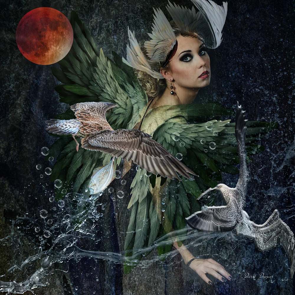 ECHO