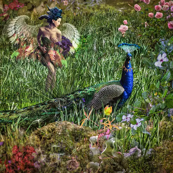 THE NYMPH AND THE PEACOCK by Pierre Pevsner