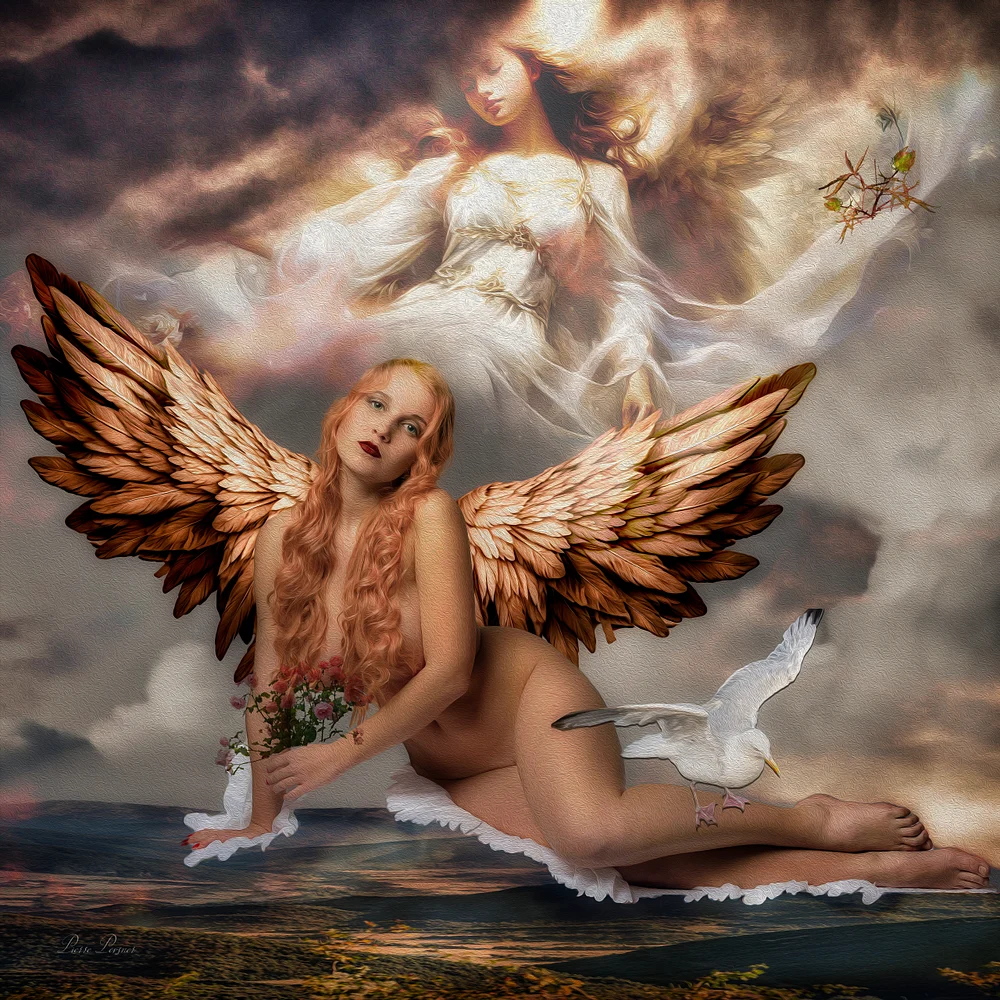THE PEACE ANGELS