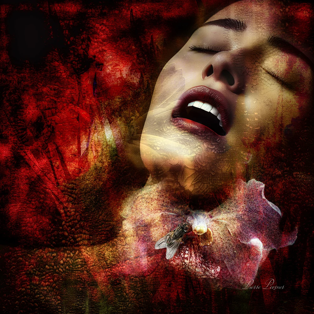 ECSTASY