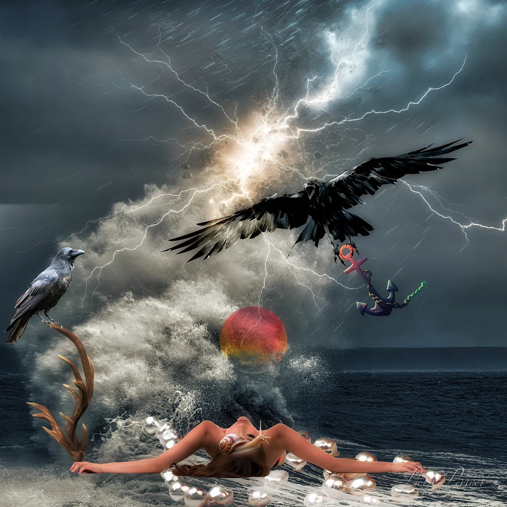 SEA RESCUE