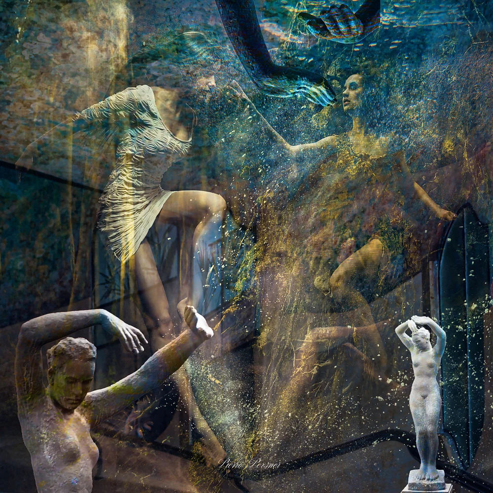 METAMORPHOSIS