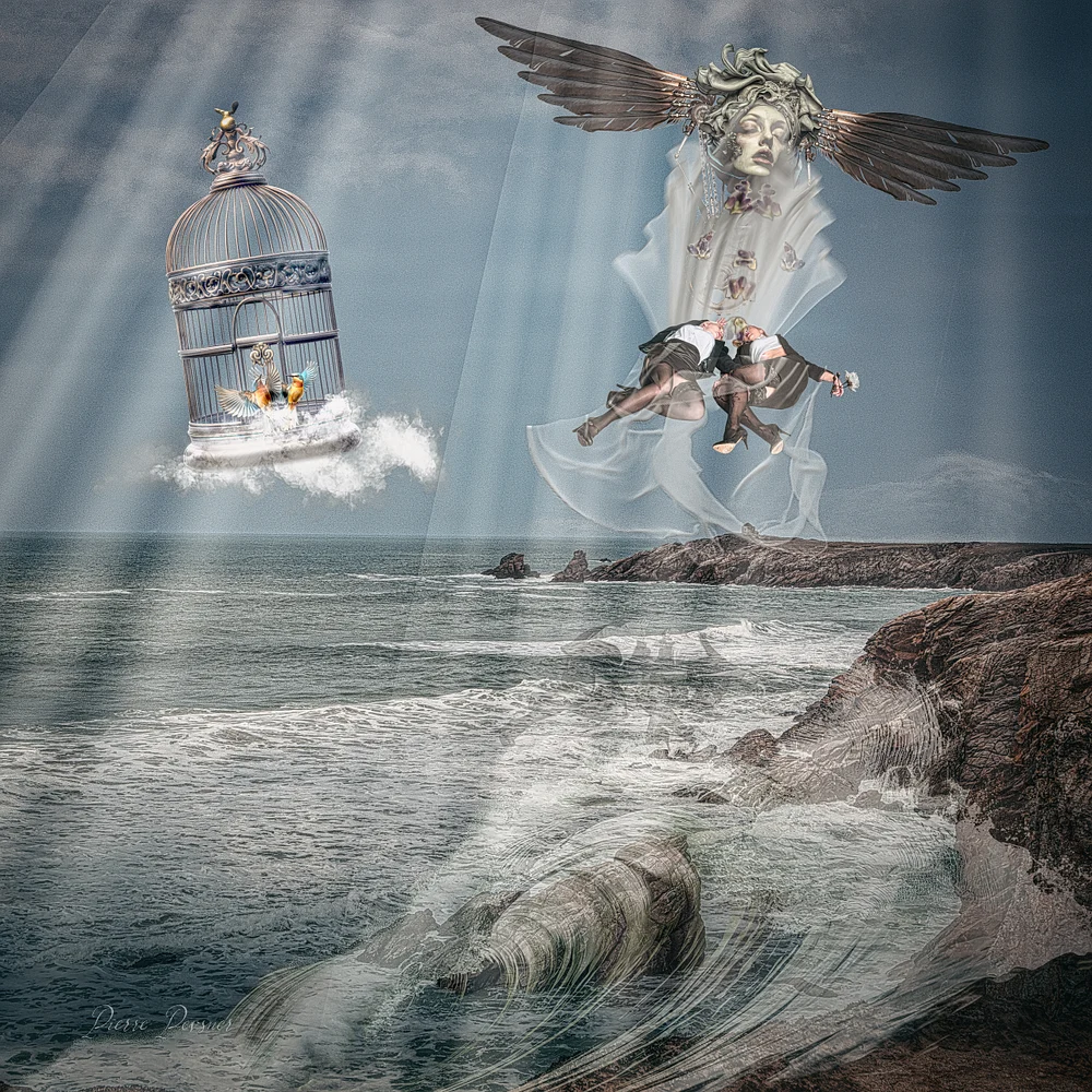 THE ABDUCTION OF THE TWIN SISTERS