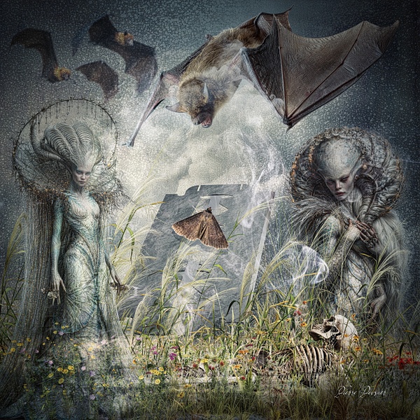 LIFE ON THE RAZOR BLADE EDGE - DREAM LAND - Pierre Pevsner Photography