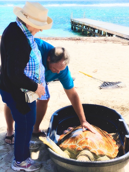 Colin and Jane Saying Hi to Thalassa - Colin's Turtle Release - thehaplessphotographer