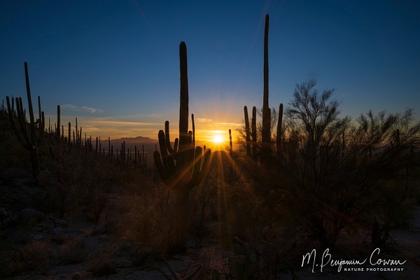 20201220_Tucson_2196 - Landscapes - M. Benjamin Cowan 