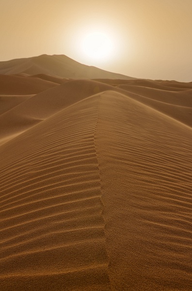 Desert Dunes (16:9) - Landscapes - Alan Barker