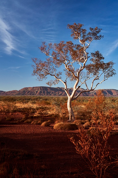 Aussie Outback (16:9) - Landscapes - Alan Barker 