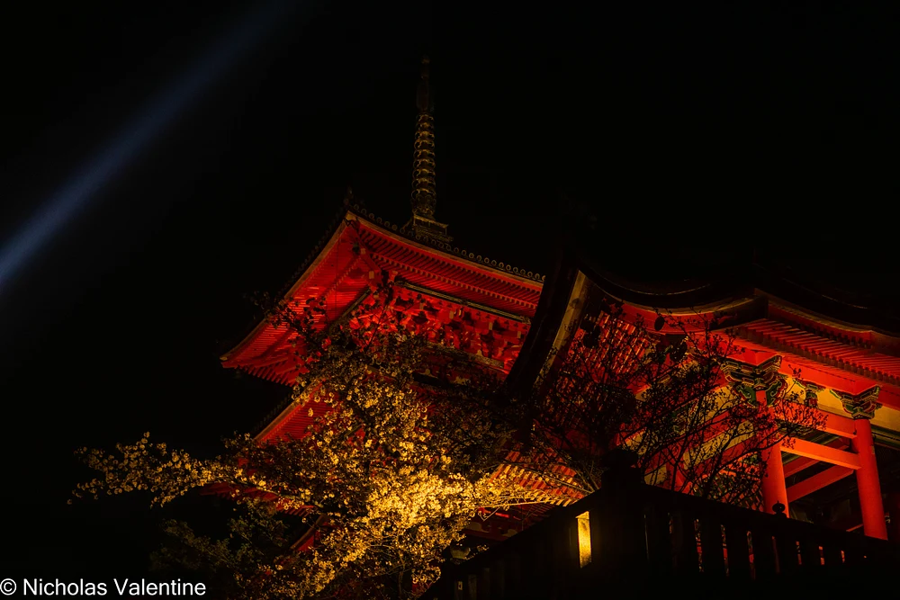 DSC02252-HDR