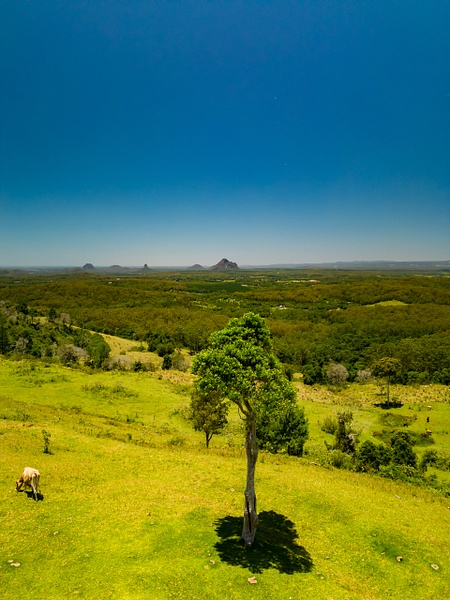 one tree hill , Maleny Sunshine Coast - Reign Scott Drone Imagery 