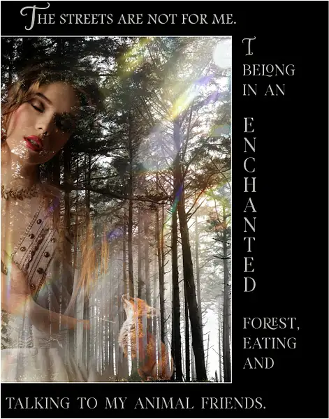 ENCHANTED FOREST by Donna Elliot