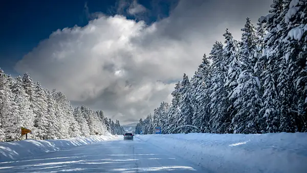 Winter Travel by Donna Elliot