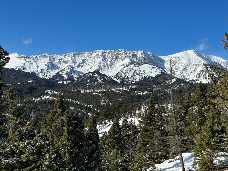 Montana Views