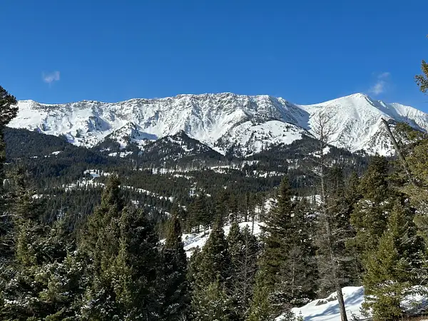 Montana Views by Donna Elliot