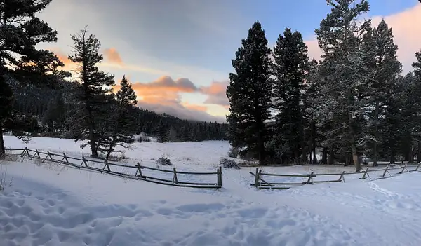 Montana Views from Battle Ridge Cabin by Donna Elliot