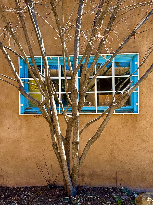 Taos Window