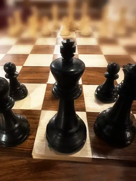 Chess Set by Donna Elliot