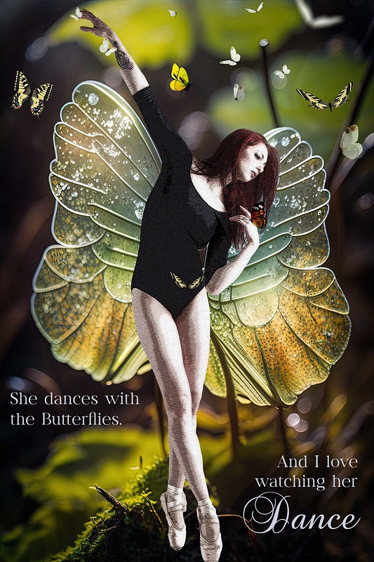 Dances with the Butterflies